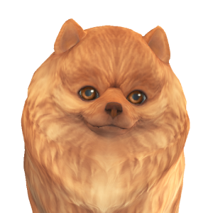 レグルス