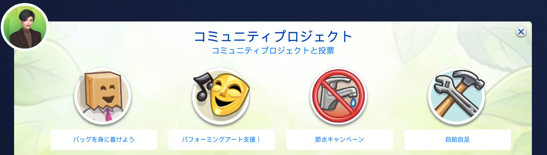 コミュニティプロジェクトと投票／バッグを身に着けよう、パフォーミングアート支援！、節水キャンペーン、自給自足