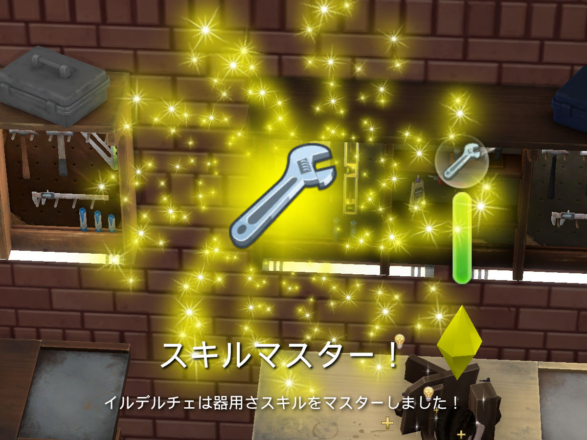 スキルマスター！／イルデルチェは器用さスキルをマスターしました！